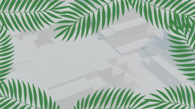 白色背景上的绿色热带植物动画