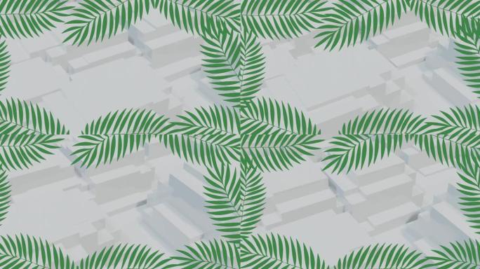白色背景上的绿色热带植物动画