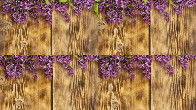新鲜芬芳的紫丁香树枝躺在烧焦的木制背景上