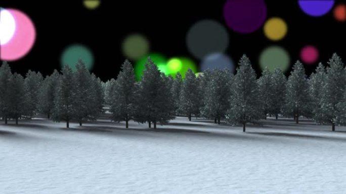 冬季景观上的多棵树与黑色背景上的彩色光点