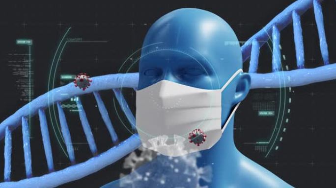 用Covid 19细胞进行DNA链纺丝的动画，在黑暗的背景上戴着口罩的人类模型