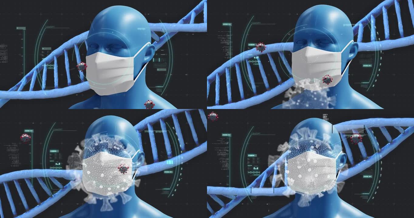 用Covid 19细胞进行DNA链纺丝的动画，在黑暗的背景上戴着口罩的人类模型