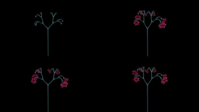超现实植物生长科技树生长花生长动画