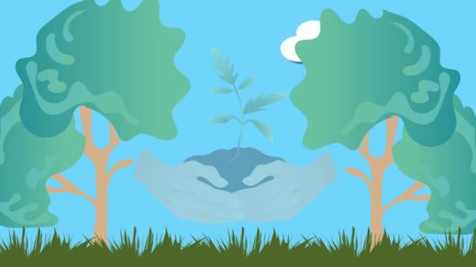 蓝天背景上树木之间的双手在大地上抱幼苗的动画