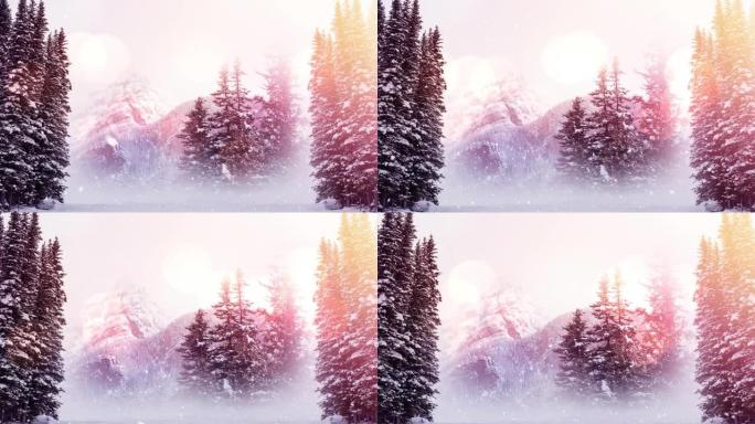 多棵树木和山脉在冬季景观上落下的光和雪点