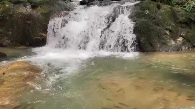 雨林中的瀑布林业绿化树林植被生态水源