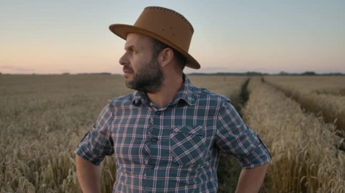 肖像高加索农民男子，穿着格子衬衫，戴着帽子，在田野里看。农田日落景观农业。肖像农民留着帽子的男人站在