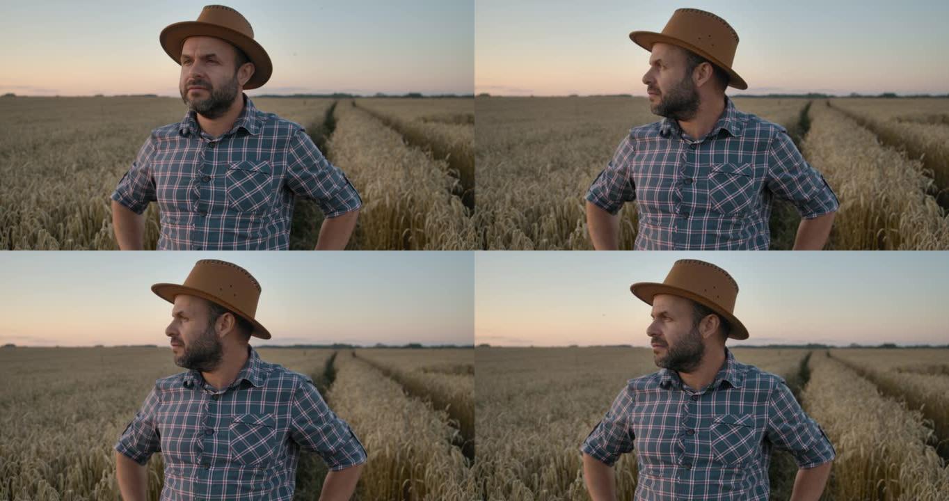 肖像高加索农民男子，穿着格子衬衫，戴着帽子，在田野里看。农田日落景观农业。肖像农民留着帽子的男人站在