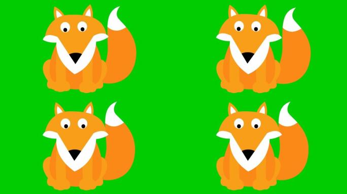 动画可爱的狐狸坐着。循环视频。孤立在绿色背景上的矢量平面插图