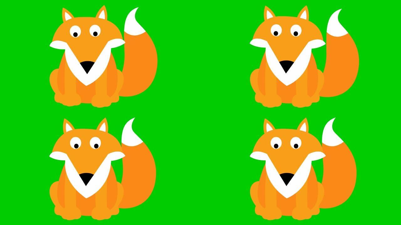 动画可爱的狐狸坐着。循环视频。孤立在绿色背景上的矢量平面插图
