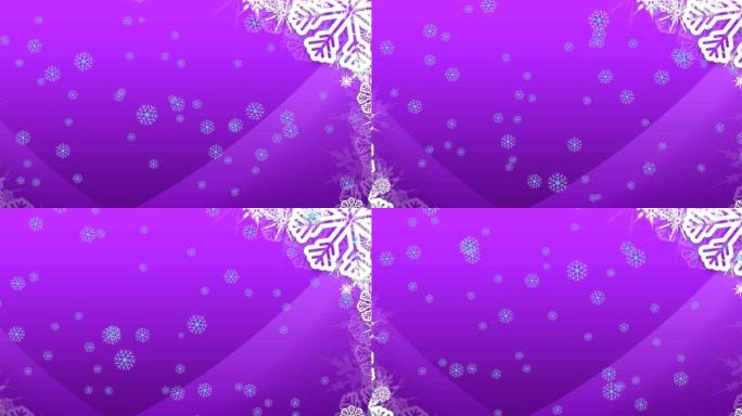 紫色背景下飘落雪花的动画