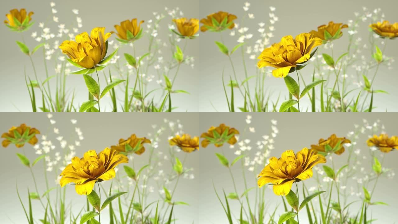 盛开的黄玫瑰，3d动画
