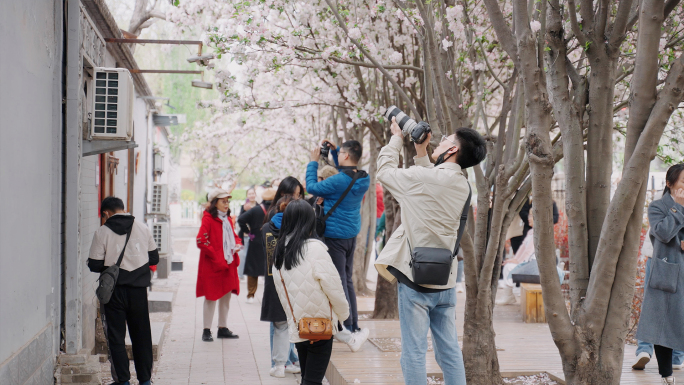 春天公园幸福生活踏青赏花实拍素材