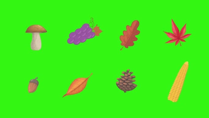 秋季主题设计元素动画，绿屏色键上的图形源