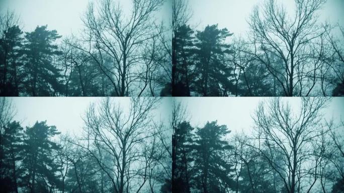 树木在大雪中弯曲