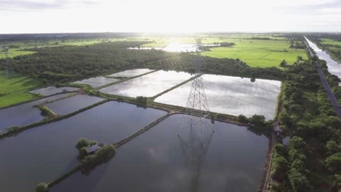 农村稻田间的电塔，阳光在水面上反射