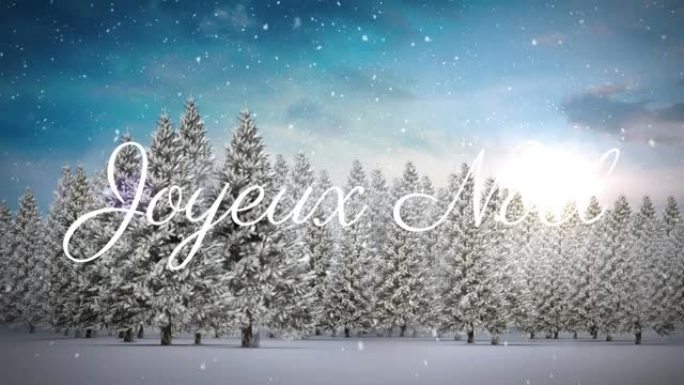 joyeux noel文字动画，冷杉树和雪落在冬天的风景上