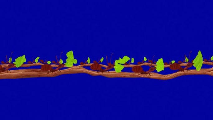 许多切叶蚁在无缝环Alpha通道的树枝上携带叶子