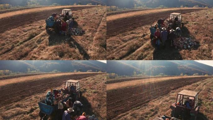 农民将南瓜放在拖拉机拖车中的无人机视图