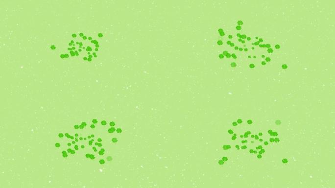 绿色背景上的幸运三叶草动画