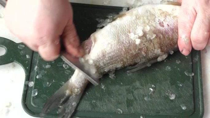 女厨师用刀清洗生鱼