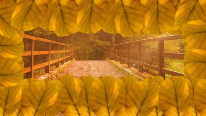 桥面秋叶帧动画与秋林背景