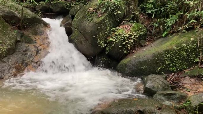 雨林中的瀑布山泉水森林溪流纯净水源