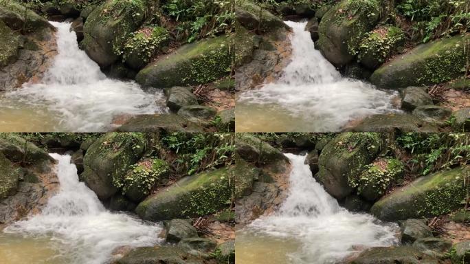 雨林中的瀑布山泉水森林溪流纯净水源