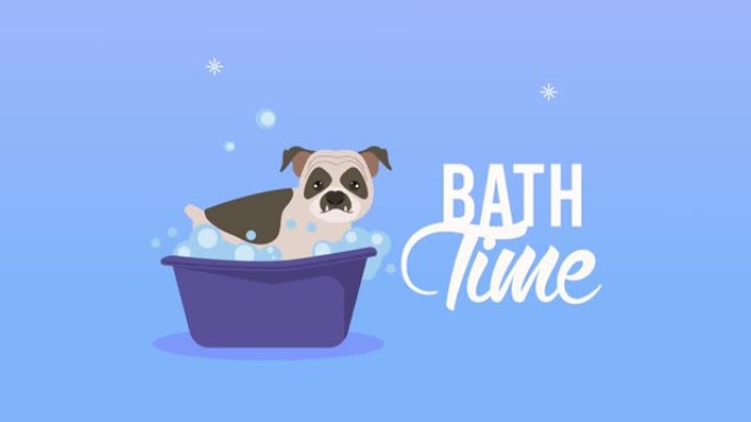 浴缸动画中的狗洗澡时间