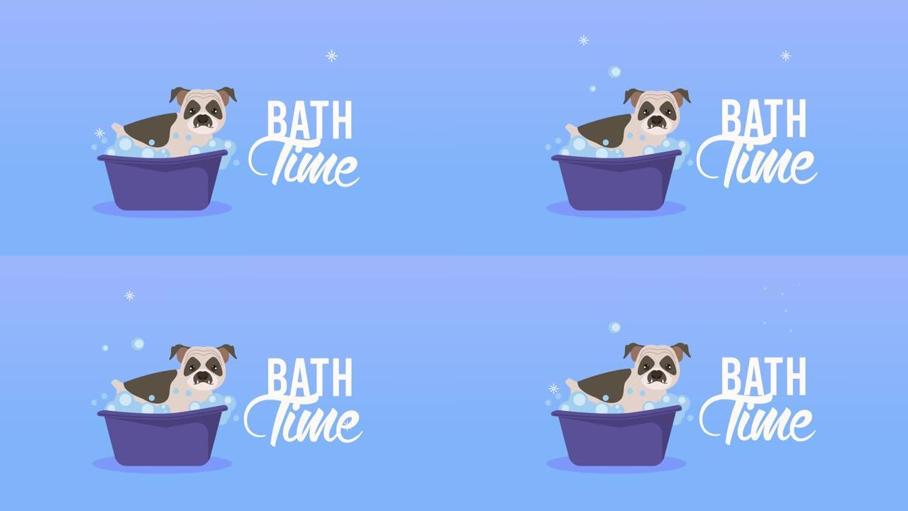 浴缸动画中的狗洗澡时间