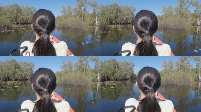在河里划皮划艇在植物园里生长在河里的树木