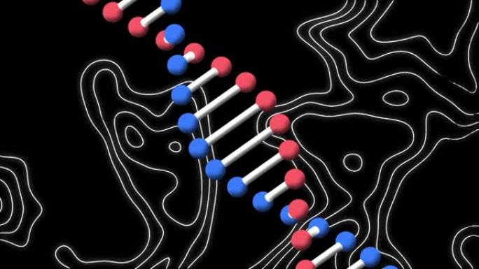 在黑色背景上旋转dna链和移动白线的动画