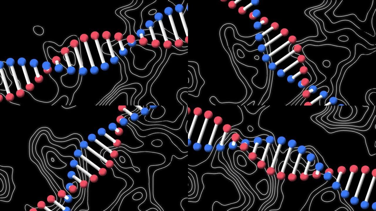 在黑色背景上旋转dna链和移动白线的动画