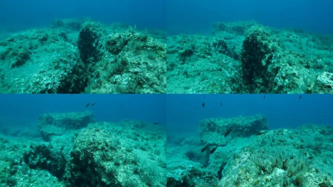 鱼群在构造板块上的海底裂缝上方游动。海底板块的Tiktanic位移。摄像机在裂缝上方向前移动。4K-