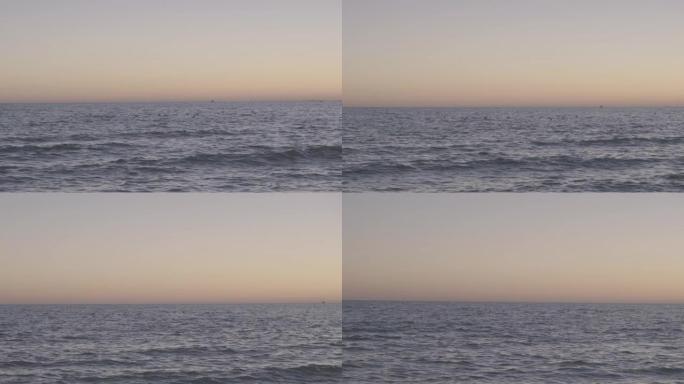 日落后黄昏时分，一群海鸥在海浪上飞来飞去。许多海鸟飞向远方。漂亮的宽镜头。没有人。慢动作镜头。4k镜