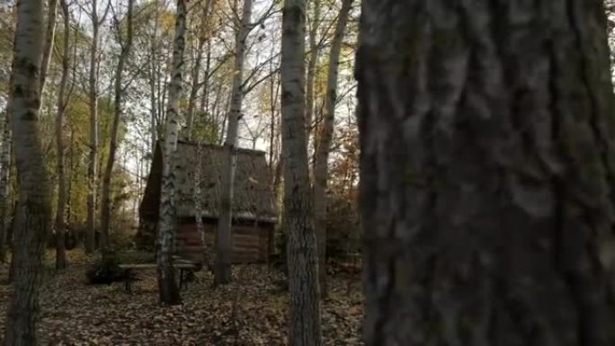 秋天的森林之家。秋季森林屋景观。森林路之家。秋季林屋路景观