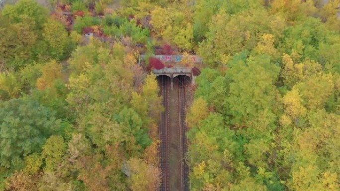 森林中的火车隧道