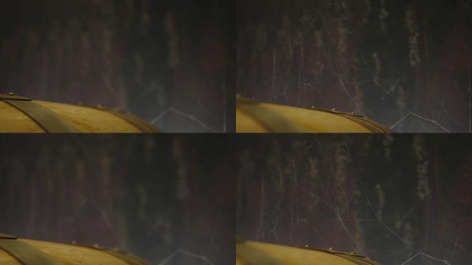 葡萄酒储存室内蜘蛛网的特写。橡树酒桶附近蜘蛛网的特写镜头。
