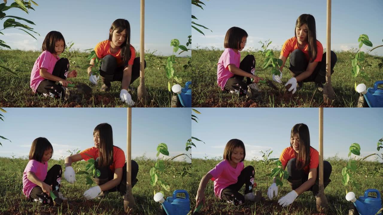 年轻的女人和女孩在晚上种树。