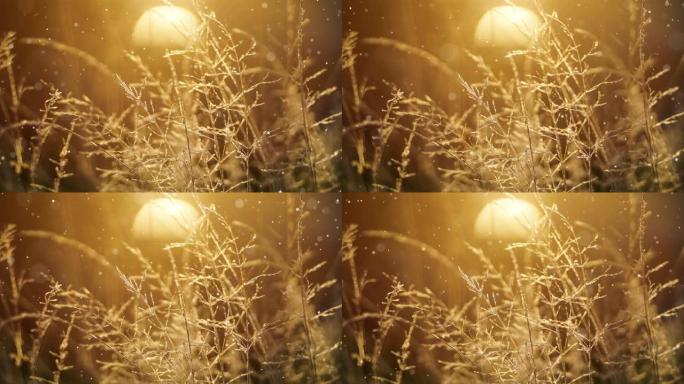 圣诞卡 (环4k) -具有闪光效果的雪。