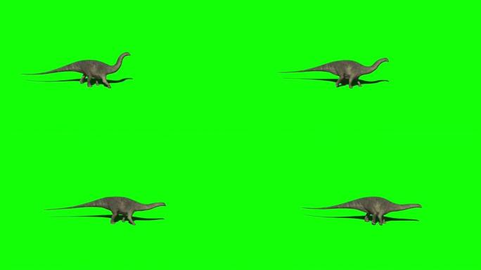 在绿色屏幕上行走的雷龙恐龙