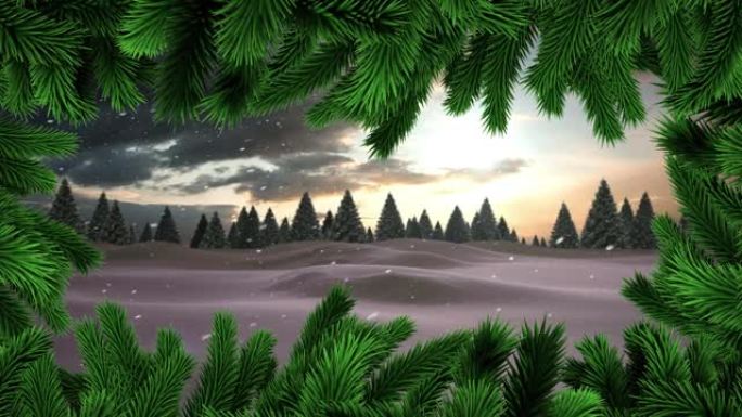圣诞树树枝上的积雪落在冬季景观上的多棵树上