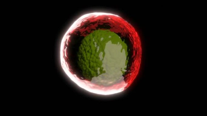 红菌球医学科学概念微生物学结构能够循环无缝4k