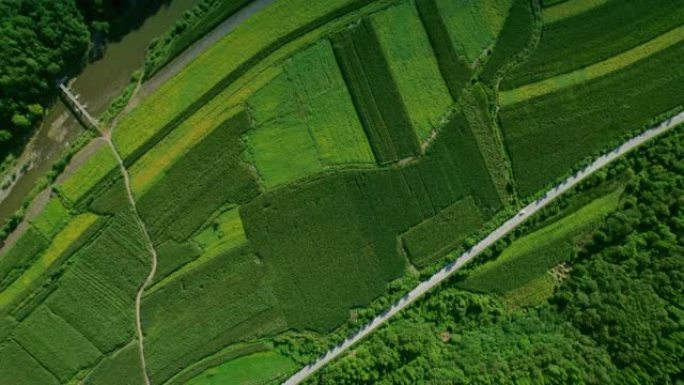 在乡村道路上行驶，进行户外追逐