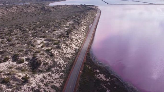 面向北方的hutt泻湖粉红色水域的上升鸟瞰图