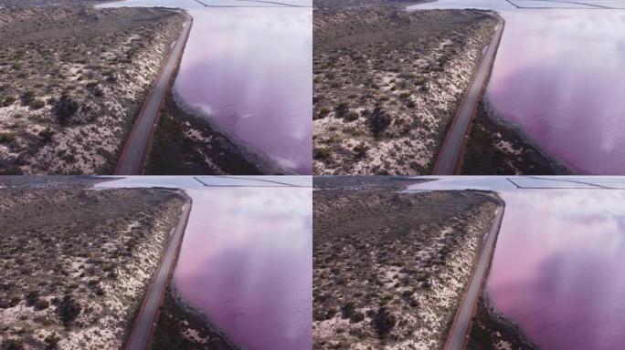 面向北方的hutt泻湖粉红色水域的上升鸟瞰图