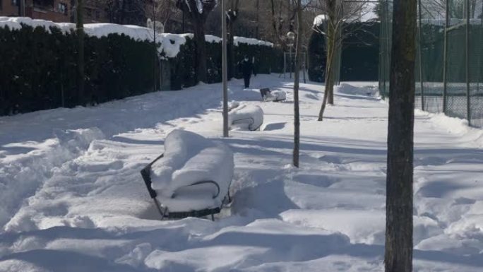 戴着卫生口罩的人穿过白雪覆盖的公园。被雪覆盖的长凳。