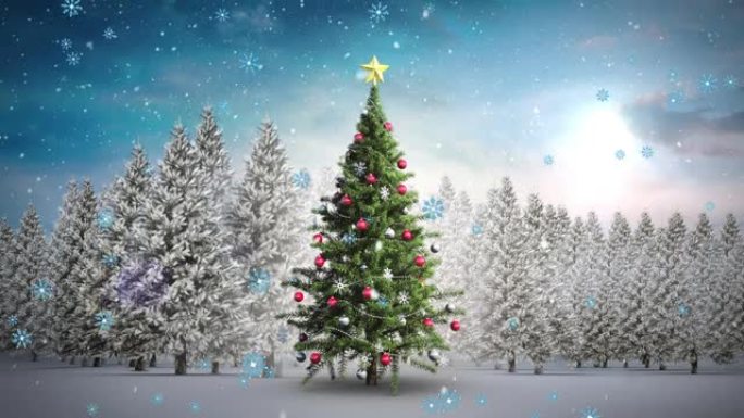 冬季风景中飘落在圣诞树上的动画