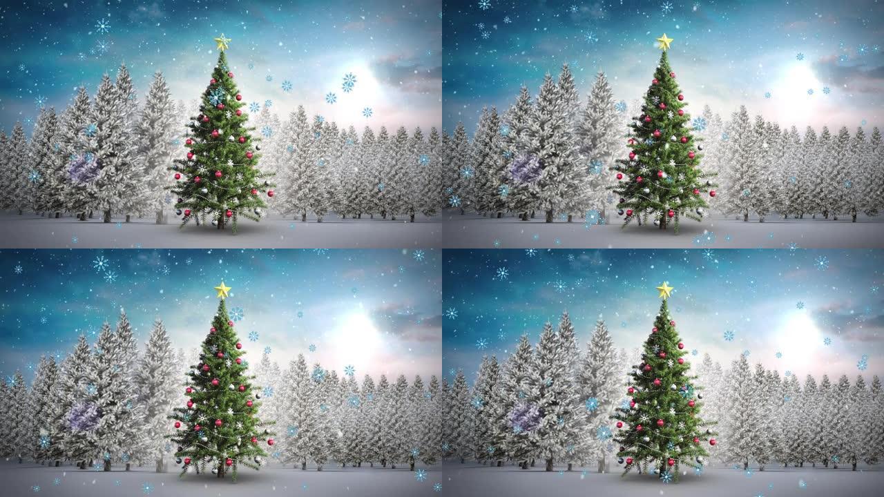 冬季风景中飘落在圣诞树上的动画