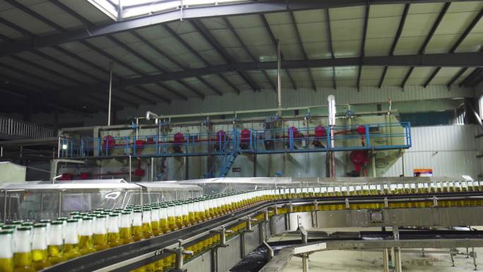 啤酒 工业 生产线 实拍现代啤酒生产线